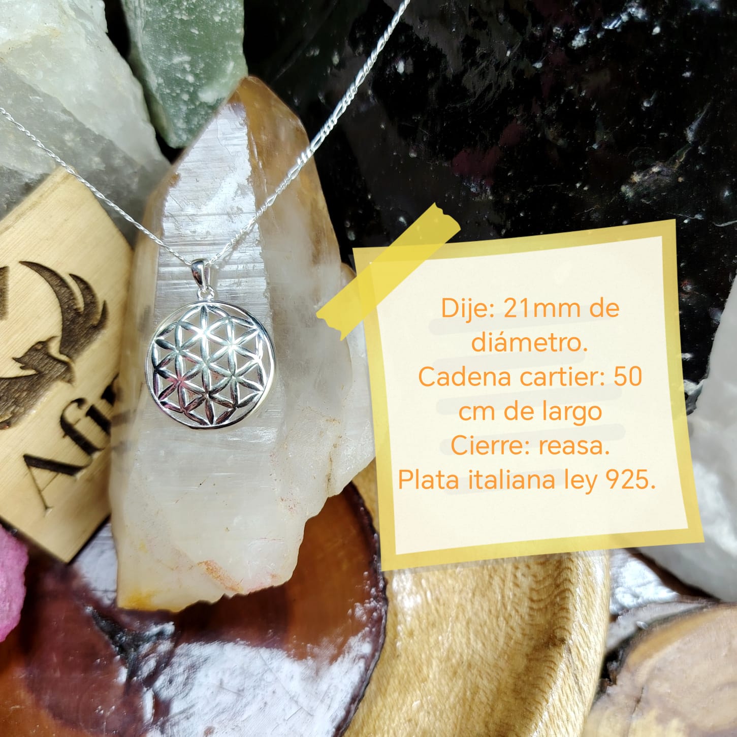 Collar con dije símbolo flor de la vida