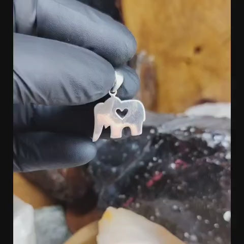 Dije elefante plata lisa