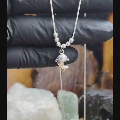 Collar con esferas y dije delfín