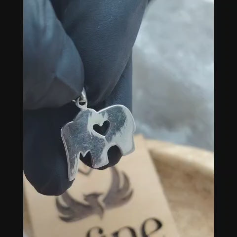 Dije elefante plata lisa